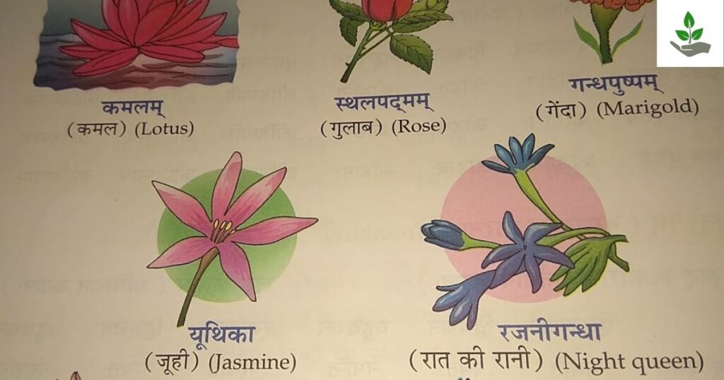 Flower Name In Sanskrit