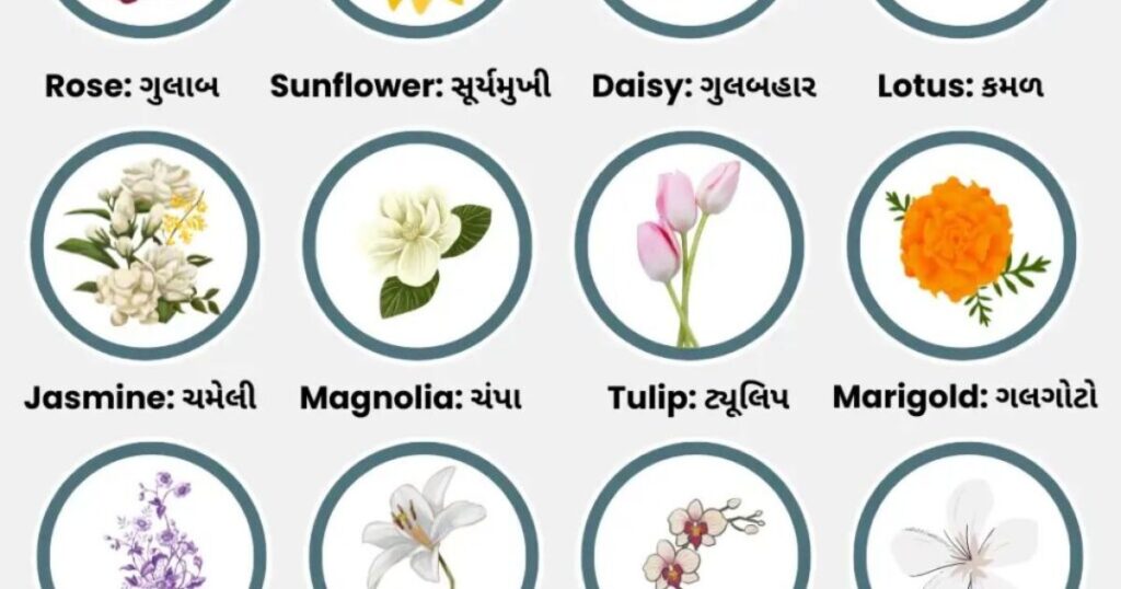 Flowers Name In Gujarati
