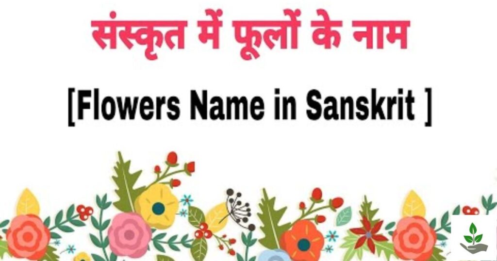 Flowers names in Sanskrit