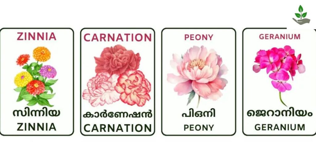 Flowers Name In Malayalam