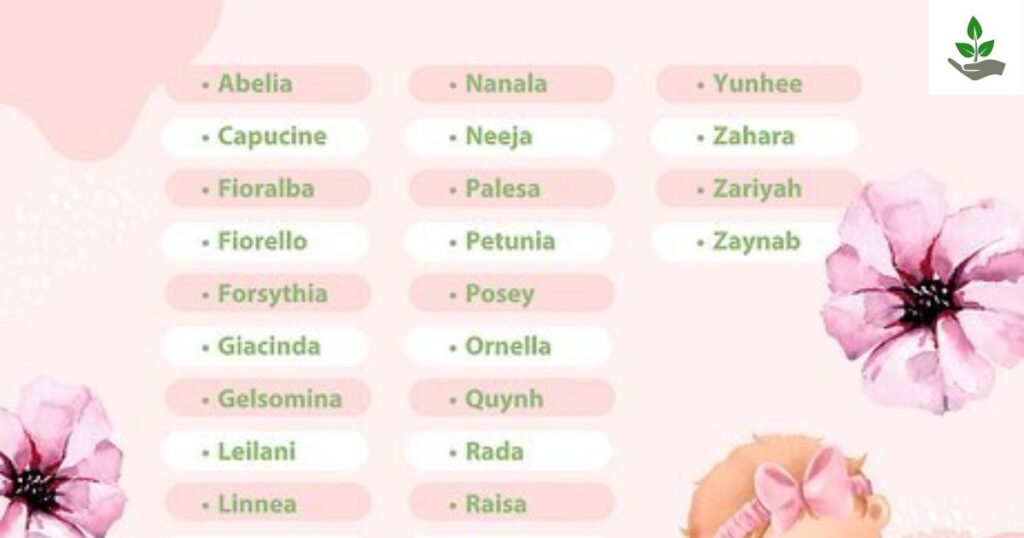 Flower Names For Baby Girls