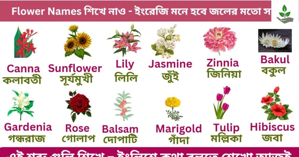 Flowers Name In Bengali