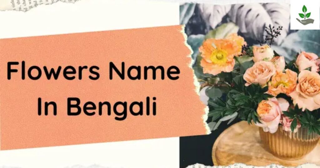 Bengali Flowers Names