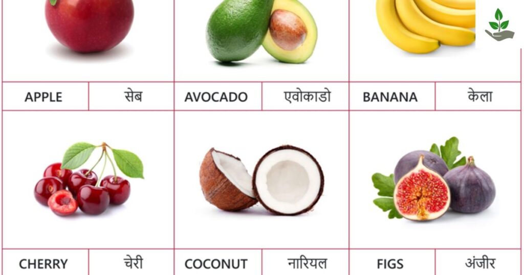 Fruit Name In Hindi