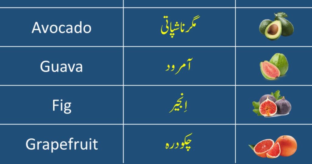 Fruit Names in urdu