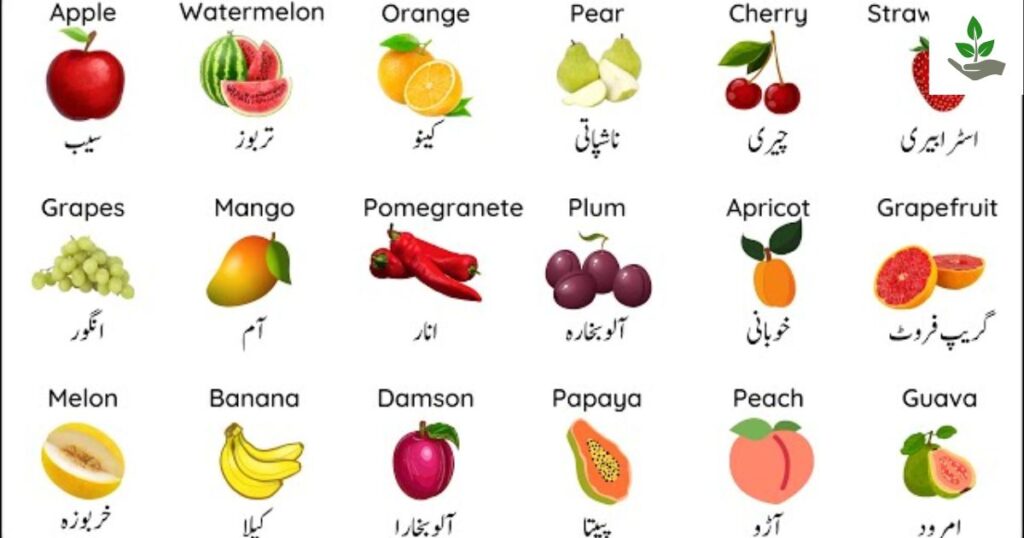 Fruits Name In Urdu