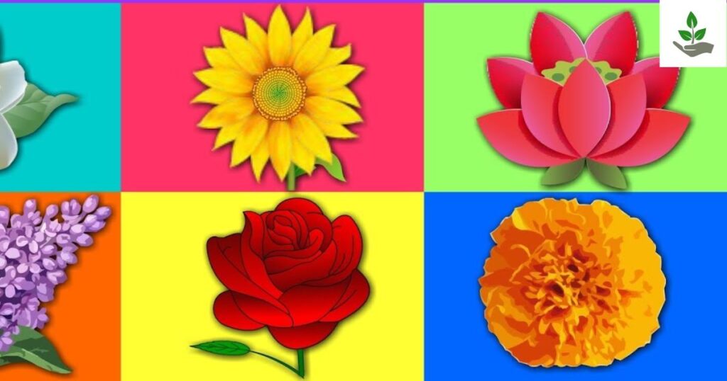 Pakistan Famous Flowers