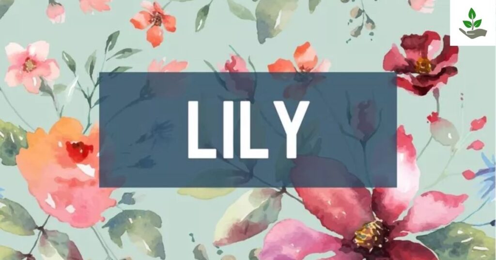 Flower Names for Girls