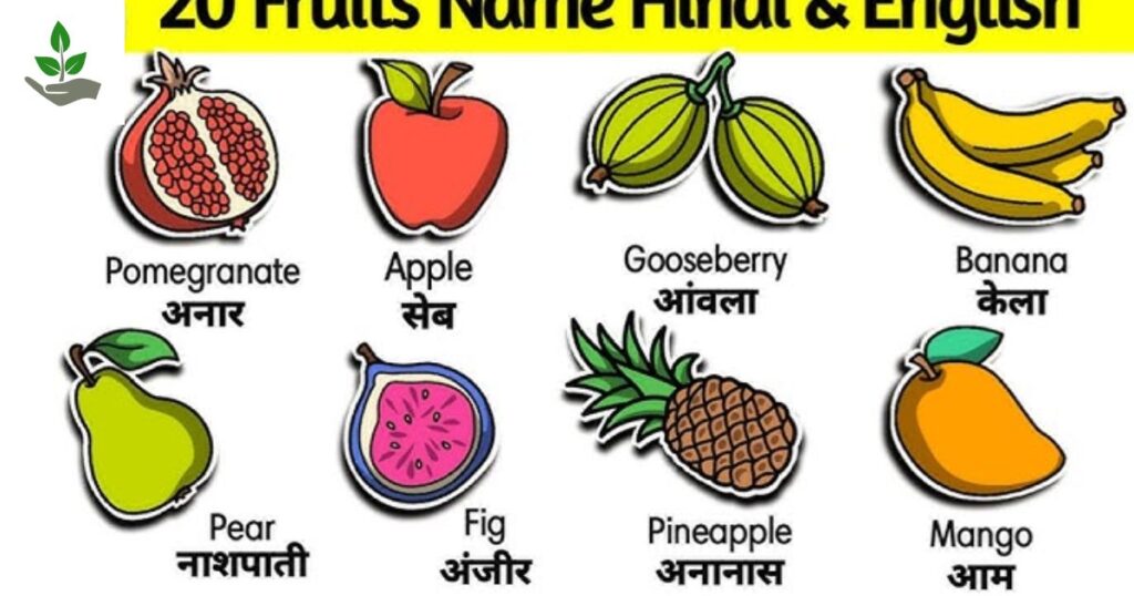 Fruits Name In Hindi