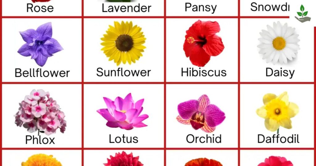 Medicinal Plants Name In Hindi