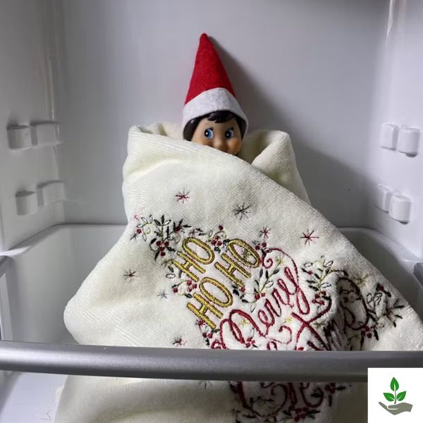 Easy Elf On The Shelf Ideas