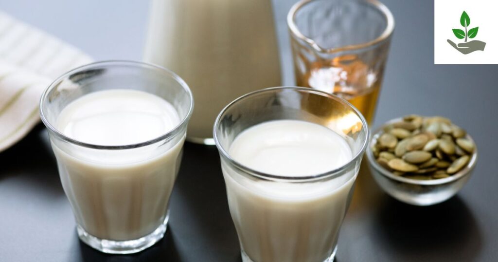 Pumpkin Seed Milk Recipe
